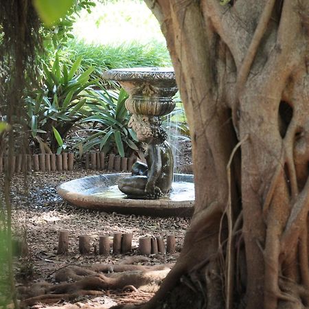 Mount Azimbo Lodge Louis Trichardt Eksteriør bilde