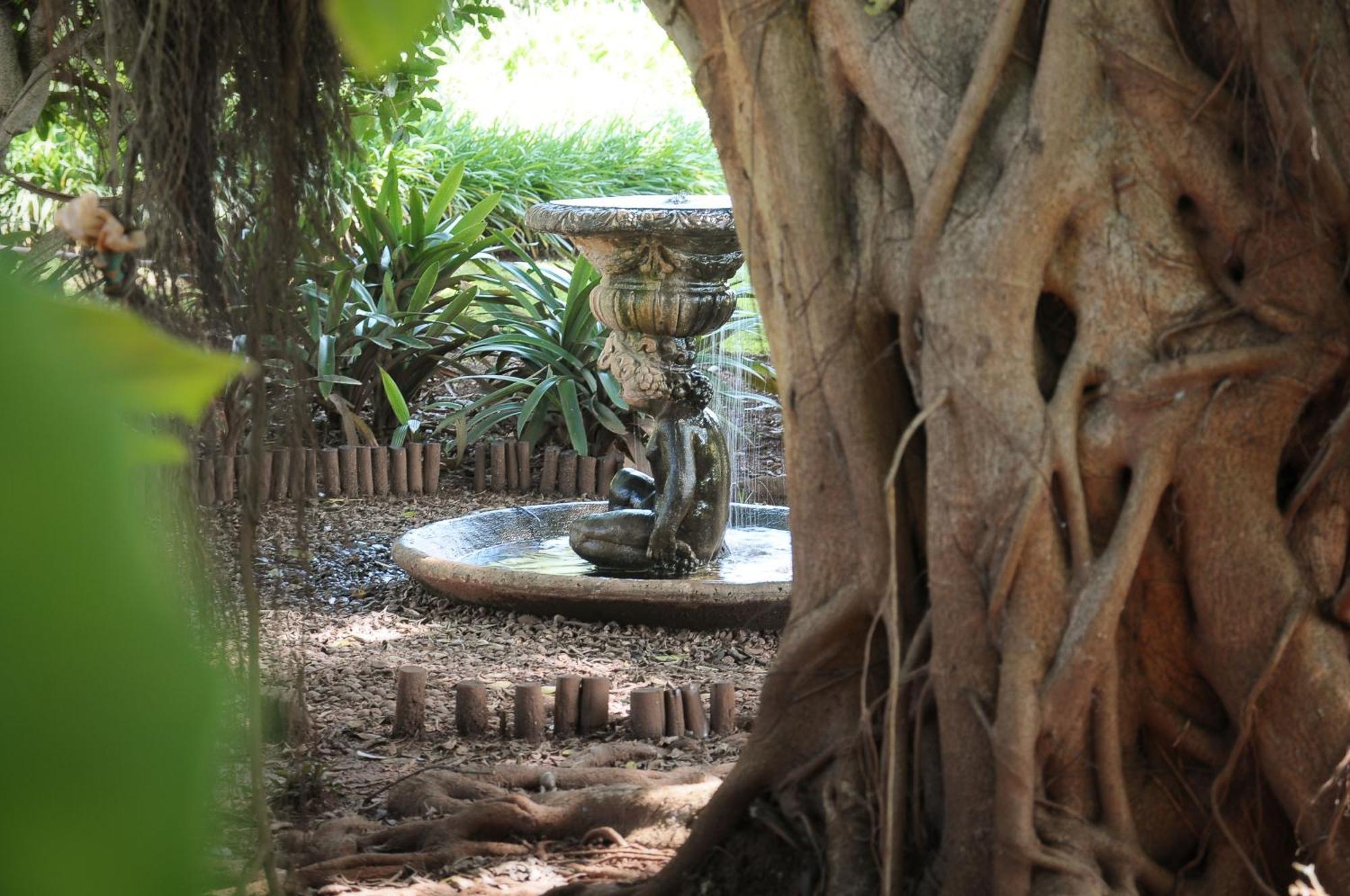Mount Azimbo Lodge Louis Trichardt Eksteriør bilde