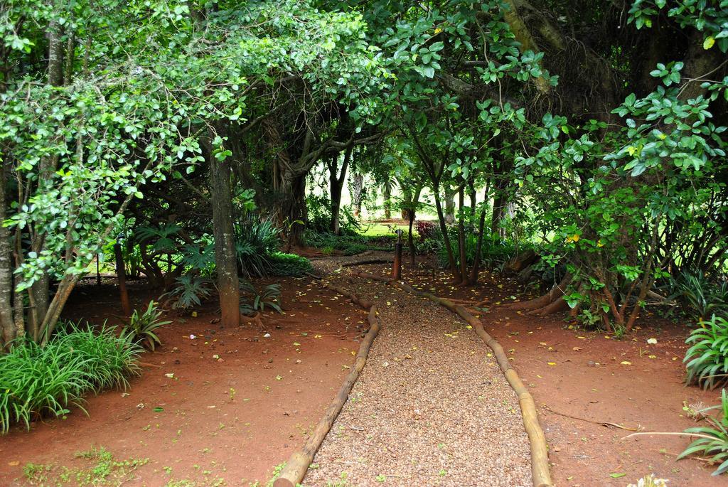 Mount Azimbo Lodge Louis Trichardt Eksteriør bilde