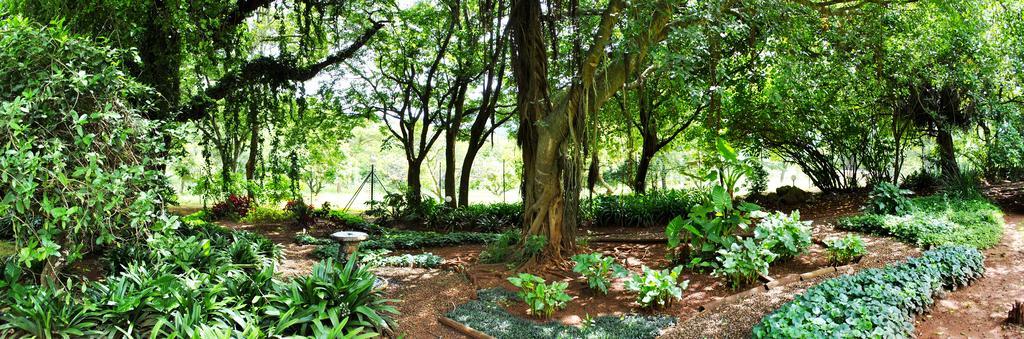 Mount Azimbo Lodge Louis Trichardt Eksteriør bilde